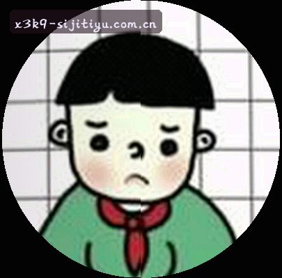 陈总